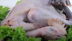 We did not find results for: 5 Tips Mengolah Daging Ayam Kampung Agar Empuk Dan Tak Alot