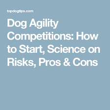 The Pros And Cons Of Dog Agility Competition Training Dog Agility Agile Agility Training For Dogs