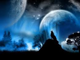 The franchise started out as a cult classic, but got noticeably better attention when its sequels were released. Wolves Wallpapers Wolves Wallpaper 9705443 Fanpop