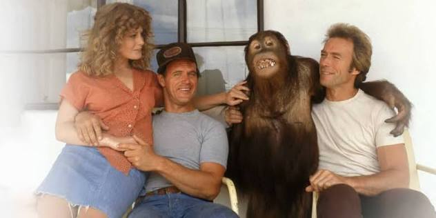 WarnerBros.com | Every Which Way But Loose | Movies
