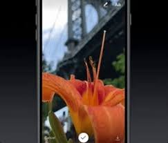Luckily for us, instagram stories has a nifty little trick that can help you turn a live photo into a boomerang. Instagram Adds Live Photo To Boomerang Wider Colors For Iphone 7 7 Techcrunch