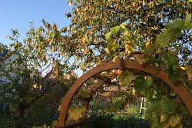 Was schön anzusehen ist, bedeutet für gartenbesitzer aber einiges an arbeit. Garten Winterfest Machen Das Ist Im Herbst Zu Tun