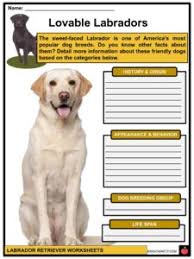 Click the small x to the right of a group's name and shelter # to report an error. Labrador Retriever Facts Worksheets History Appearance For Kids
