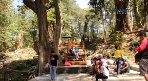 Read more hutan desa setianegara : Silahkan Mampir Jl Ragasakti No 130 Woodland Kuningan