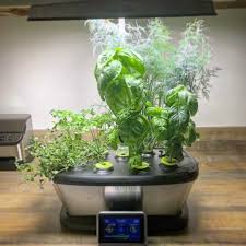 Modern and sleek, the veradek corten steel garden bed planter is the perfect addition to any garden or backyard. The Top 76 Indoor Herb Garden Ideas