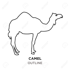 Retro vintage black and white cats performing for animals on posts #1130393 by prawny vintage. Camel Outline On White Background Royalty Free Cliparts Vectors And Stock Illustration Image 98894660