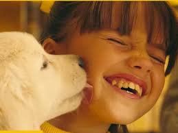 نتیجه جستجوی لغت [happier] در گوگل