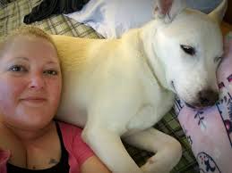 Rosie is making herself at home in Mommy's pregnancy pillow.