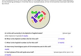 Diploid, haploid definition & examples. Solved Answer The Following Set Of Questions Using Your K Chegg Com
