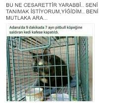 Anlamli Dusundurucu Eglenceli Guzel Komik Konusan Resimler Konusan Resimler Www Kizlarinsirlari Club Komik Seyler Komik Bilgiler Komik Capsler