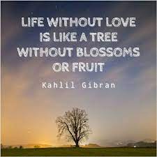 Check spelling or type a new query. 45 Kata Kata Bijak Bahasa Inggris Dengan Artinya Dari Orang Terke