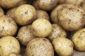 We did not find results for: Is A Potato A Vegetable Myrecipes