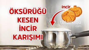 Oksuruk Kesen Incir Karisimi Incir 1000 Kalori Tarifler