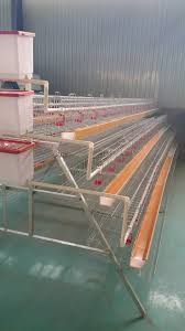 Kandang In 2020 Chickens Backyard Poultry Cage Poultry House