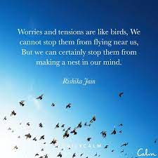 Pin By Rajdeep Soni On Life Is Hard Calm Quotes Daily Calm Lessons Learned In Life