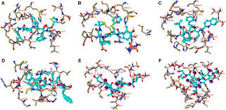 You'll receive email and feed alerts when new items arrive. Identification Of Potential Mpro Inhibitors For The Treatment Of Covid 19 By Using Systematic Virtual Screening Approach Springerlink