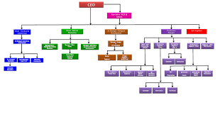 organisational chart of cobra machines