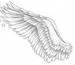 Nice Wings Kus Tuyu Dovmeleri Melek Kanadi Dovmeleri Kanat Dovmeleri