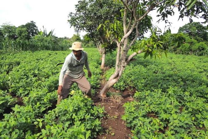 RUU Agraria Diharapkan Perkuat Kepastian Hukum dan Distribusi Lahan