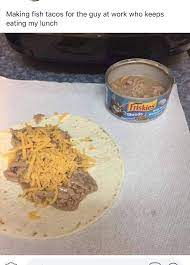 Fish taco from cat food. Forbidden Taco Revenge Forbiddensnacks