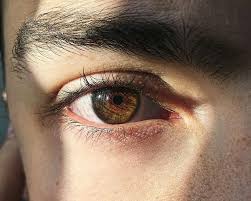 Rintyeryeѕt Alachrumssyefatye Fotografiya Glaza Cvet Glaz Glaza