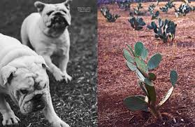 Check spelling or type a new query. Vogue Living Goes Puglia Anne Timmer