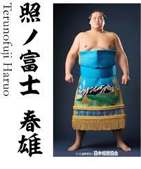 優勝 (1回目) 照ノ富士 春雄 （てるのふじ はるお） 平成25年11月: ç…§ãƒŽå¯Œå£« æ˜¥é›„ ä¼Šå‹¢ãƒ¶æ¿±éƒ¨å±‹
