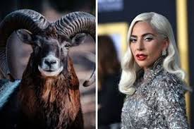 Cancer (♋︎) is the fourth astrological sign in the zodiac, originating from the constellation of cancer. Cancer Celebrities Which Famous People Are Cancers Cancer Star Sign Traits Express Co Uk