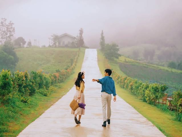 Review The Florest - Hoa Trong Rừng Đà Lạt - Cập nhật giá vé
