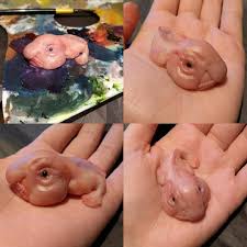 Pin On Love The Blobfish