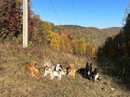 Love this crew! They've been a joy to have around for training!