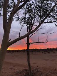 An Outback Caretaker Job With A Difference Wild Deserts Sturt Np New South Wales National Parks Outback
