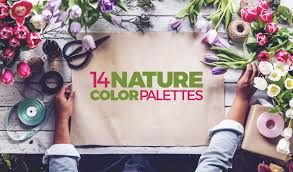 Create the perfect palette or get inspired by thousands of beautiful color schemes. 14 Nature Color Palettes With Hex Codes Design Inspiration