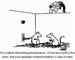 Cartoons Psychology Jokes Psychology Humor Psychology Memes