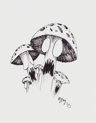 6f309f8a05c5b9ec1037c63be28ae870 Jpg 570 729 Psychedelic Art Mushroom Art Mushroom Drawing