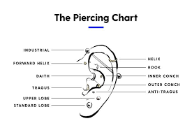 Everything You Need To Know About Conch Piercings