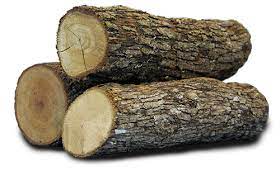 Logging, cutting down trees for logs. Log Analysis With Opendns Cisco Umbrella