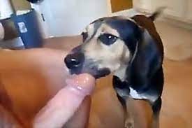 Man Fucking Dog