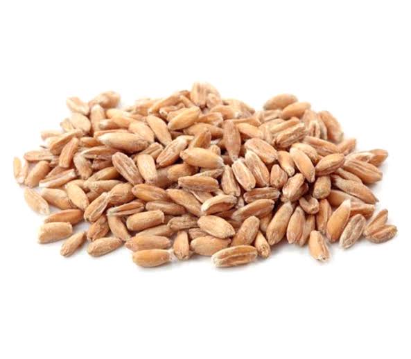 Farro