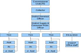 civil supplies and consumer protection department