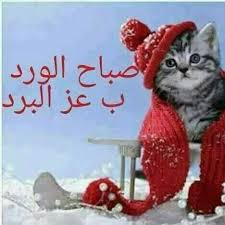 pin by mam on الصباح والمساء good morning the dreamers jumma mubarak