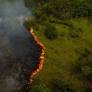 Brazil Faces Heightened Forest Fire Risks in 2026 Amid El Niño Challenges