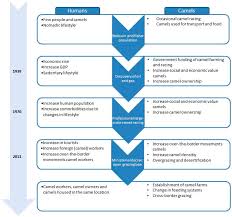 Beneficial as it is an internationally standardized rating. Viruses Free Full Text Drivers Of Mers Cov Emergence In Qatar Html