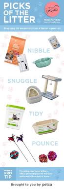 Petco animal supplies, inc., or simply petco, is an american pet retailer in the united states, with corporate offices in san diego and san antonio. Petco Petco Official Pinterest Account