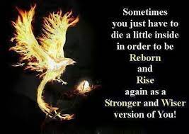 I also believe in jesus christ, the rebirth of the world. Day 17 The Gains Of Sacrifice Rebirth Quotes Phoenix Quotes Inspirational Quotes