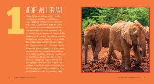 50 Ways To Save The Elephants (And Change The World): Simple Ways To Make A  Difference In The World: Abrams, Isabel, Neme, Laurel: 9781604337990:  Amazon.com: Books