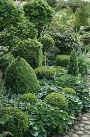 Evergreen Garden 34 Gardenpath Garden Pictures Shade Garden Evergreen Garden