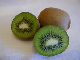 Image result for Actinidia