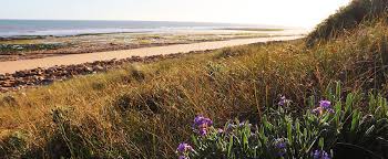 Many translated example sentences containing a proximité. Camping Vendee Bord De Mer Les Plages De Vendee 85