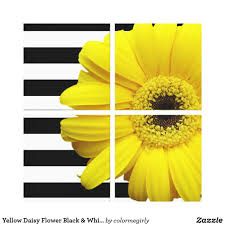 Black And White Flower Canvas Wall Art Yellow Daisy Flower Black White Stripes Canvas Affiliate Link Flower Wall Art Flower Canvas Yellow Daisy Flower